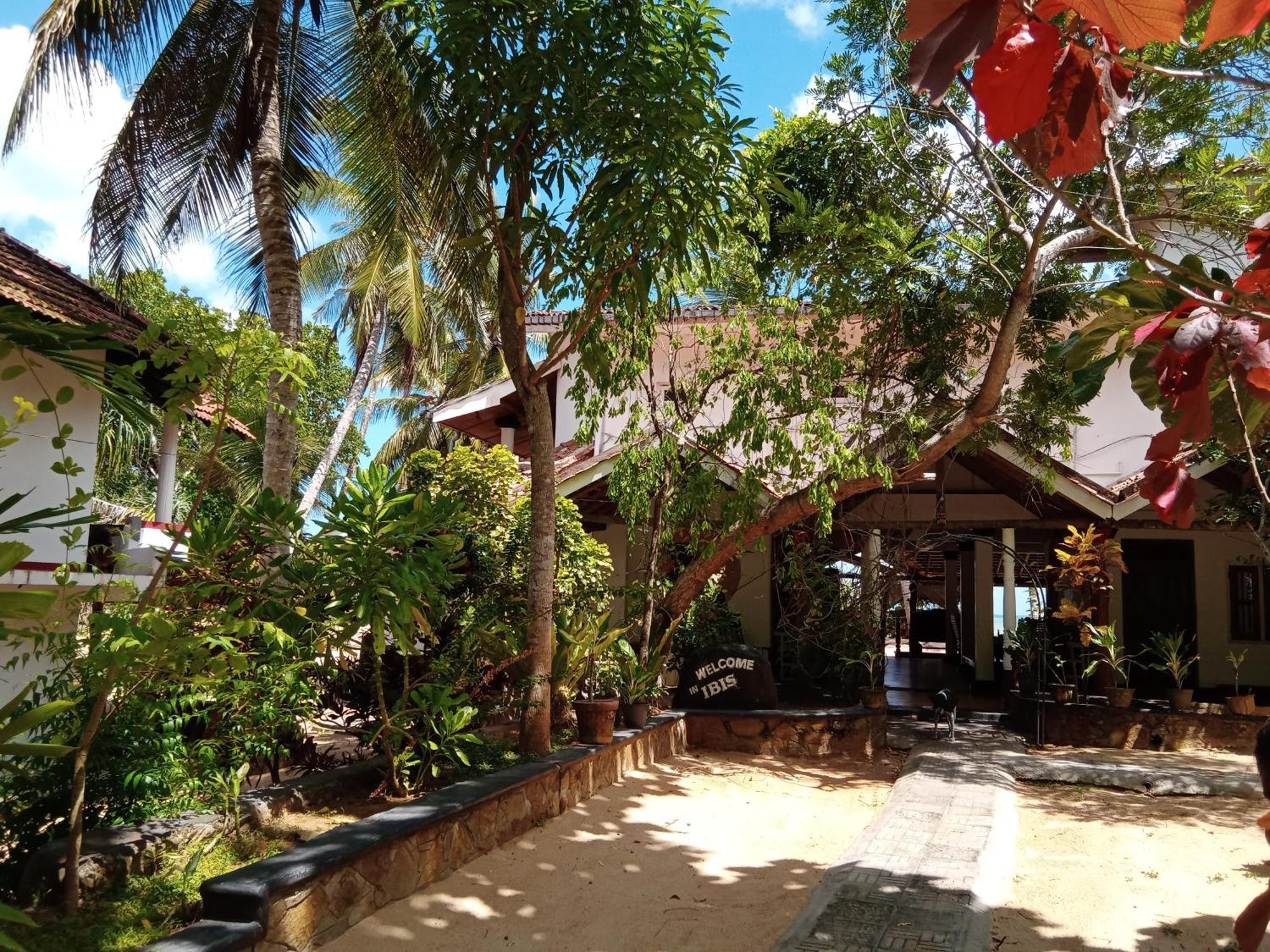 Ibisbird Beach Bungalows, Sport, Spa And Restaurant Tangalle Eksteriør bilde