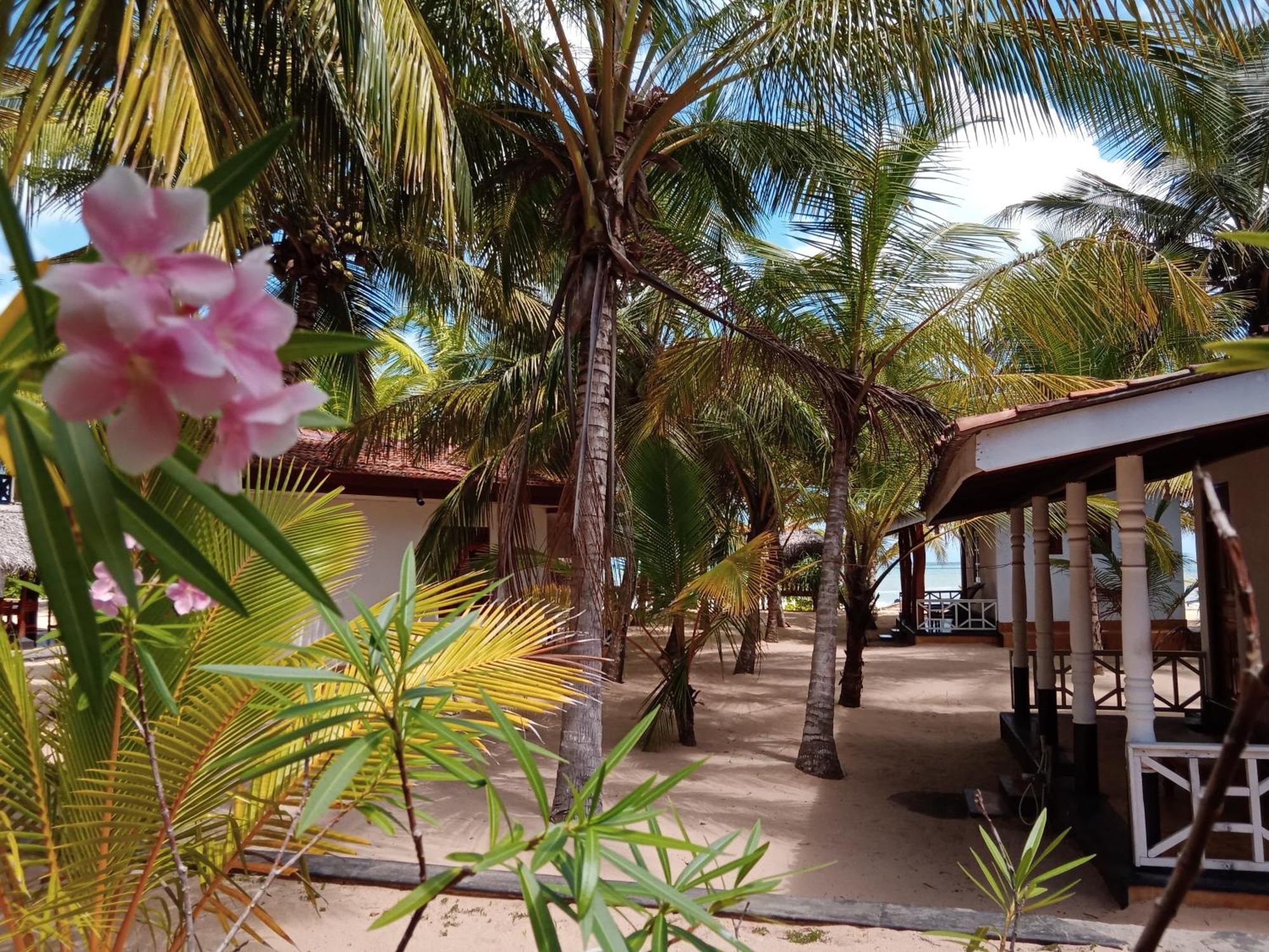 Ibisbird Beach Bungalows, Sport, Spa And Restaurant Tangalle Eksteriør bilde