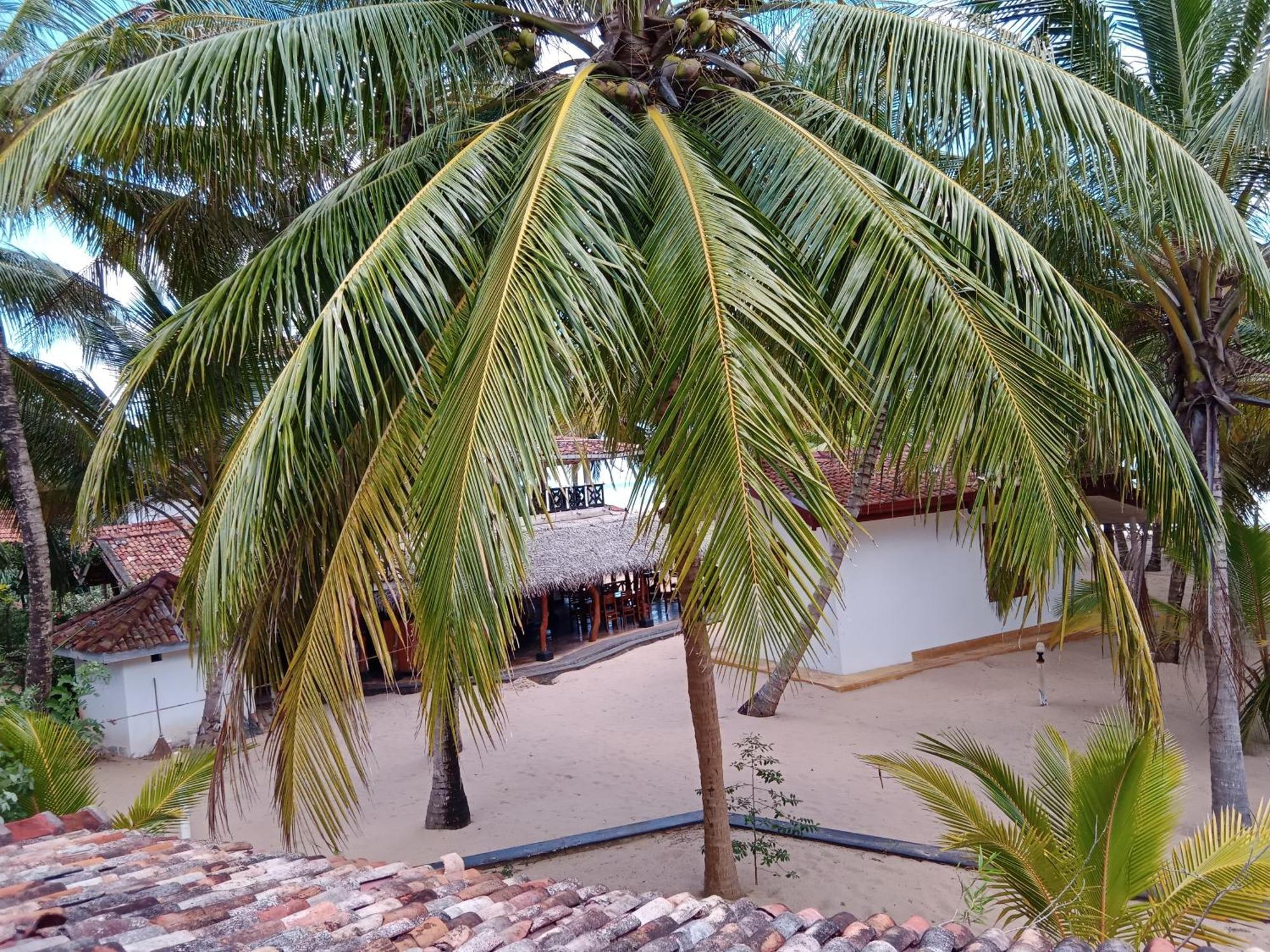 Ibisbird Beach Bungalows, Sport, Spa And Restaurant Tangalle Eksteriør bilde