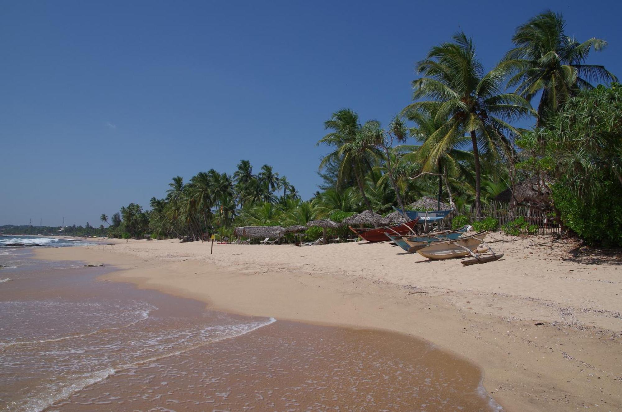 Ibisbird Beach Bungalows, Sport, Spa And Restaurant Tangalle Eksteriør bilde